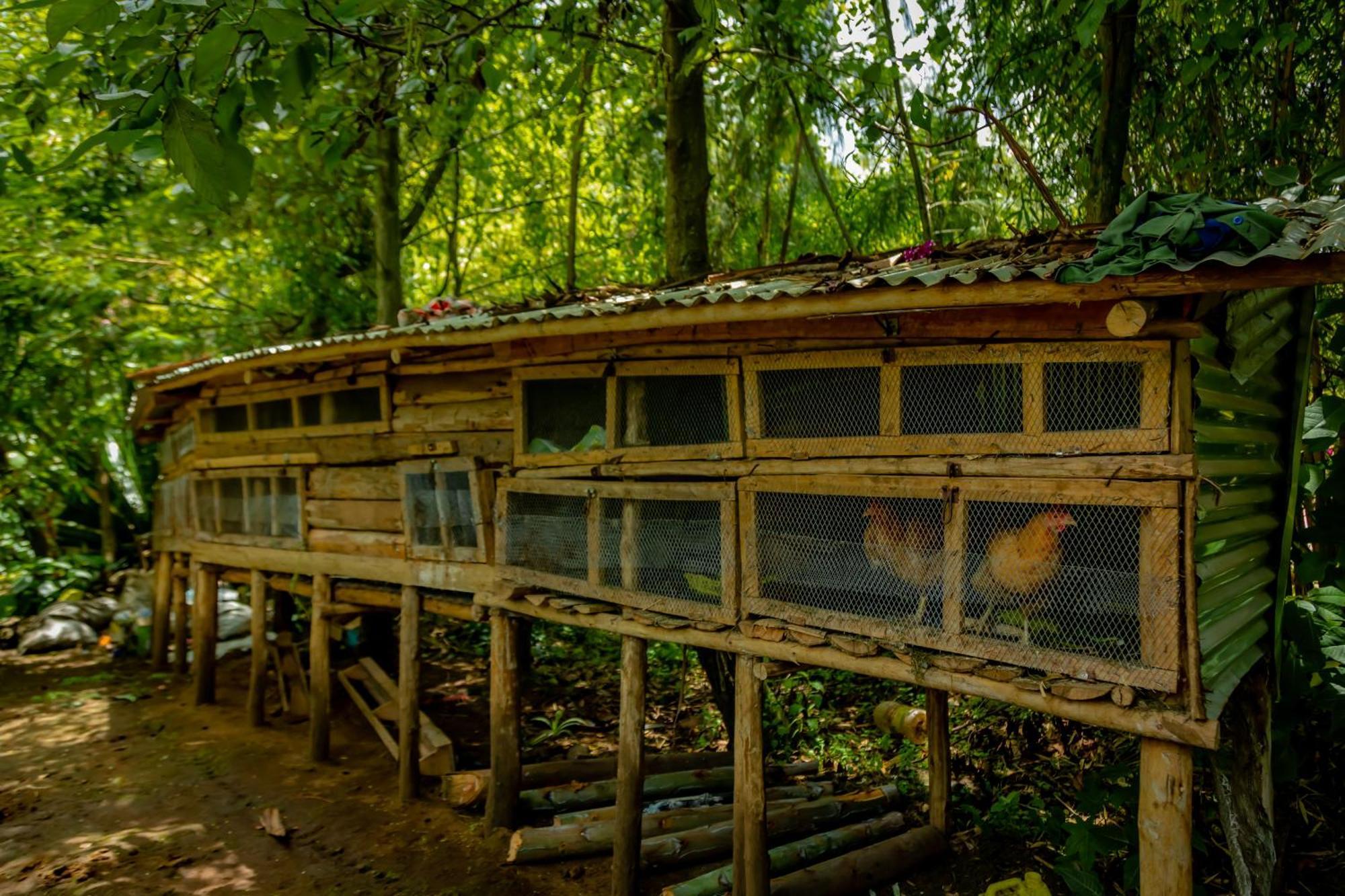 Fravan Eco Resort By Apogee Ruhengeri Bagian luar foto