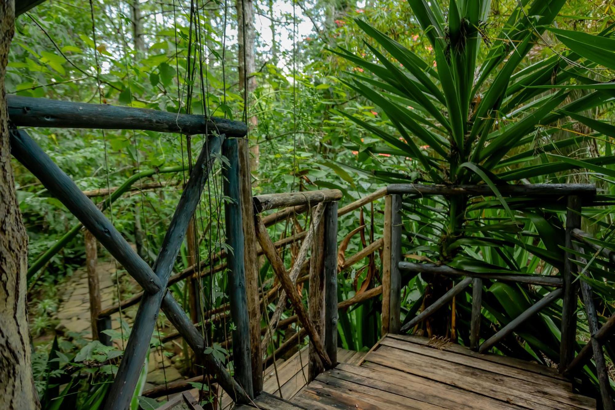 Fravan Eco Resort By Apogee Ruhengeri Bagian luar foto