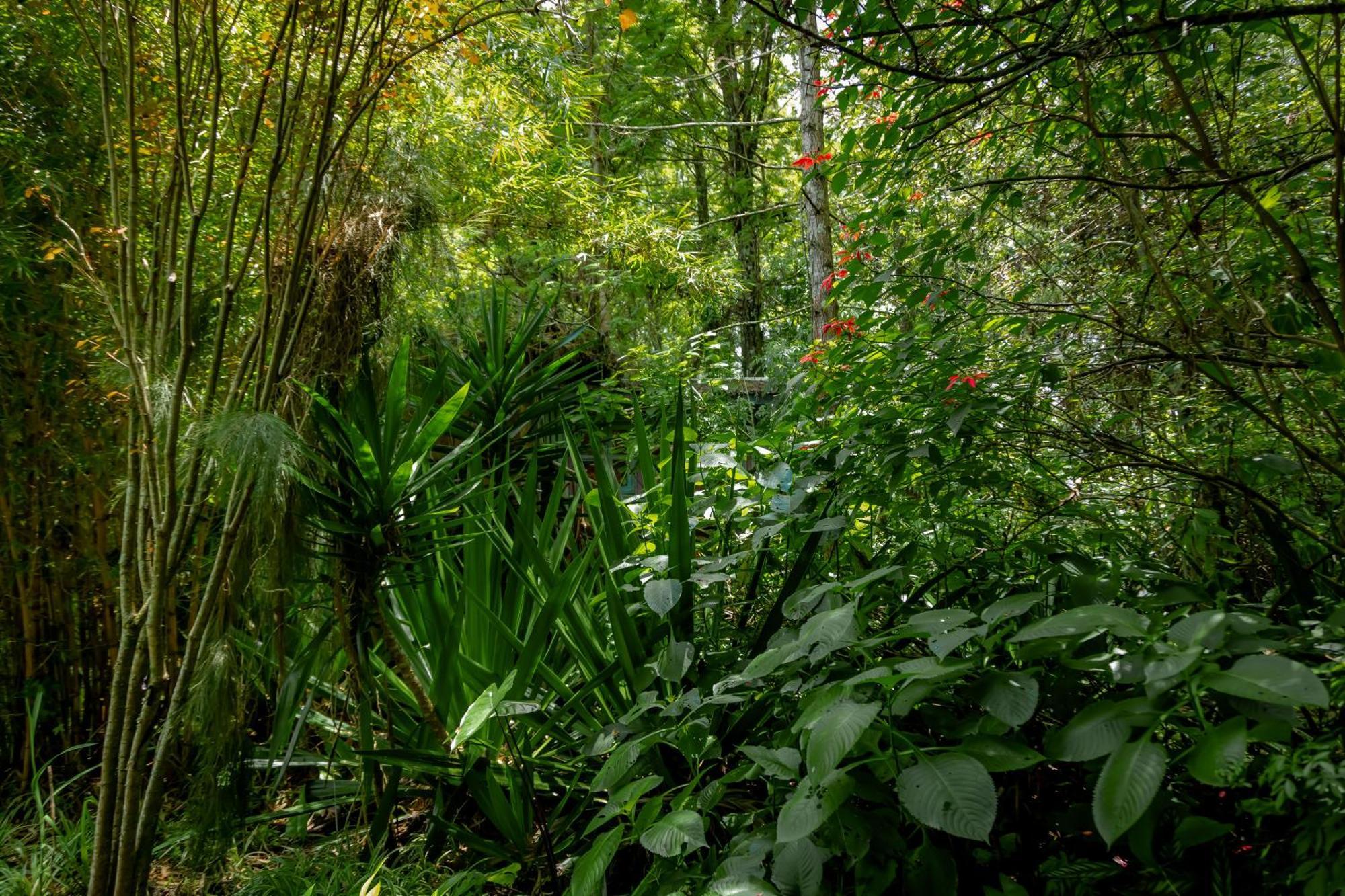 Fravan Eco Resort By Apogee Ruhengeri Bagian luar foto