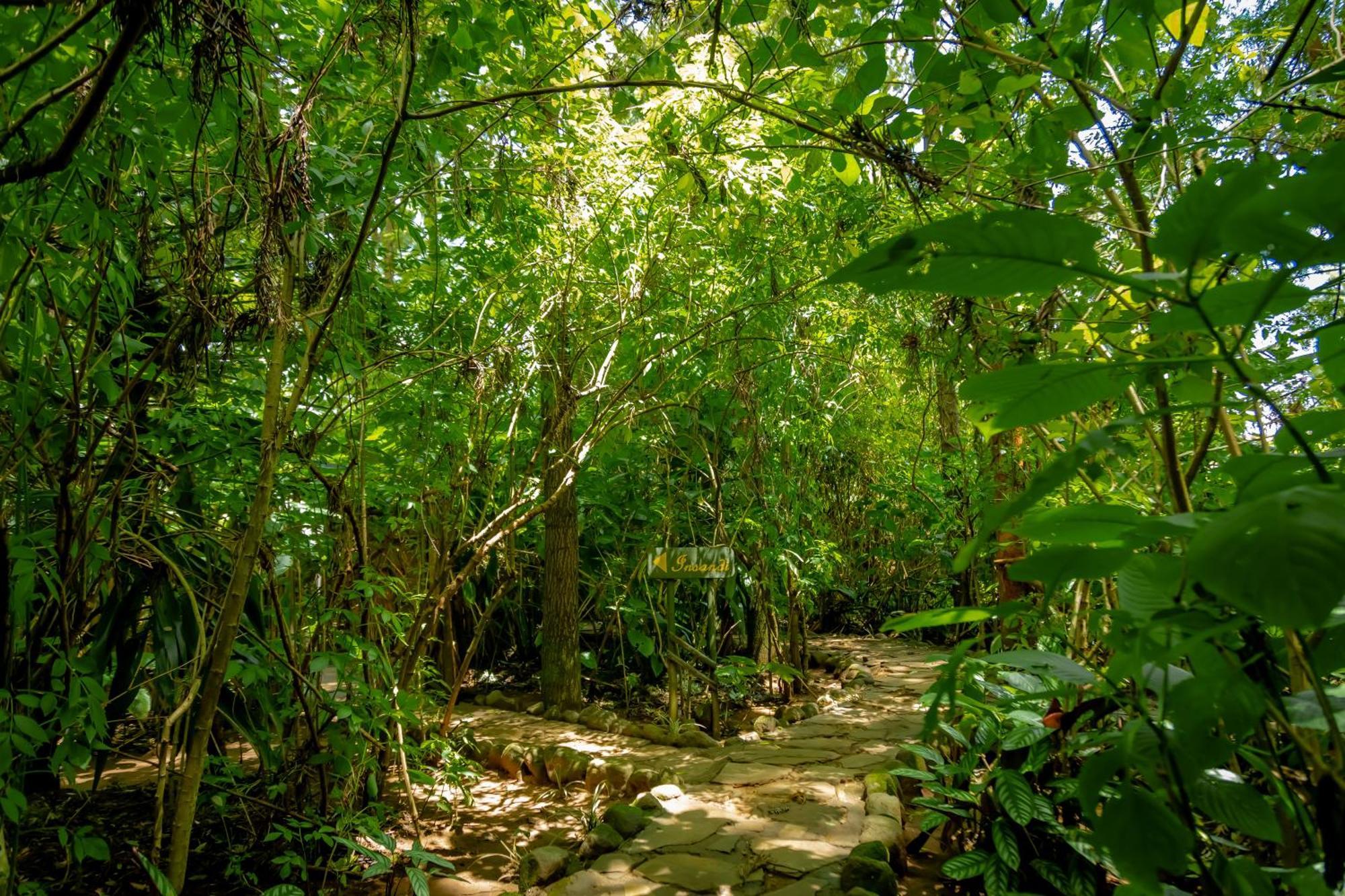 Fravan Eco Resort By Apogee Ruhengeri Bagian luar foto
