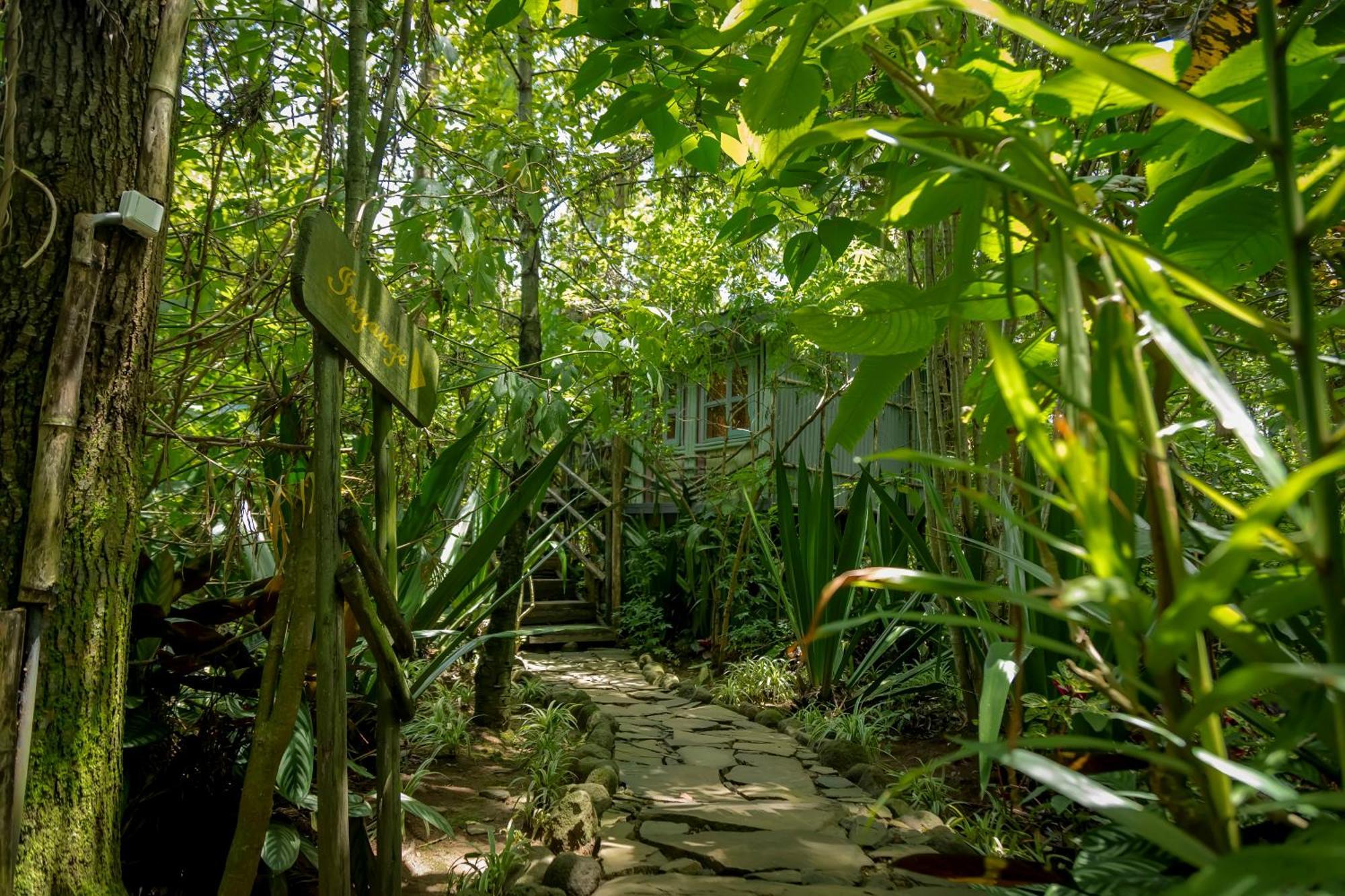 Fravan Eco Resort By Apogee Ruhengeri Bagian luar foto